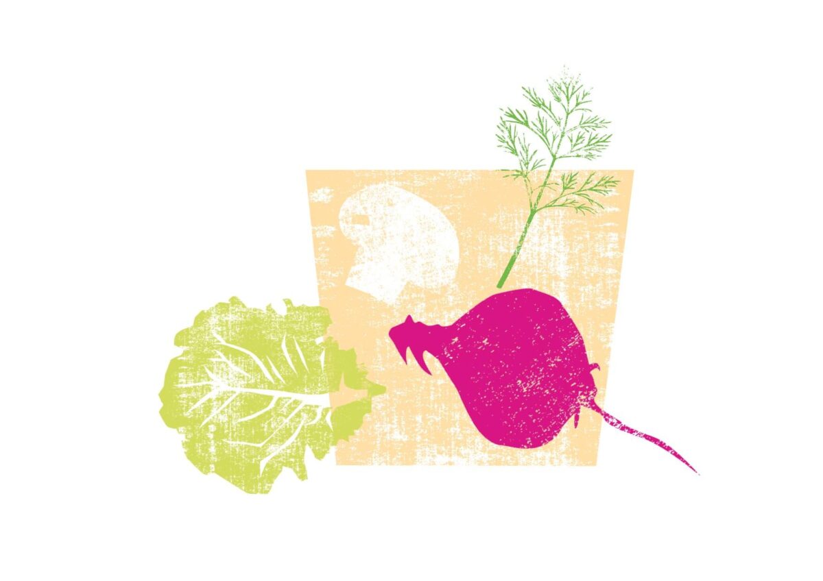 A_JR_Nimms mit_Illu_1